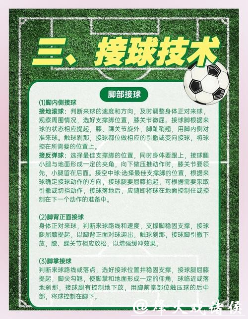 揭秘世界杯下注平台优势与核心特点 揭秘世界杯下注平台优势与核心特点